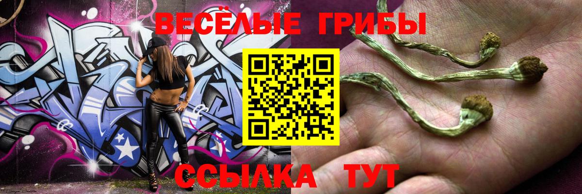 Кумертау  Псилоцибиновые грибы GOLDEN TEACHER  Вход с VPN  Галлюциногенные грибы MAGIC MUSHROOMS 