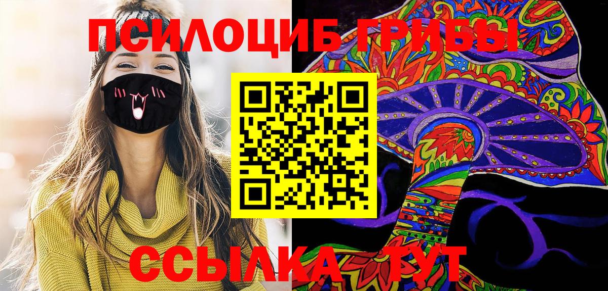 Галлюциногенные грибы Psilocybine cubensis Кумертау